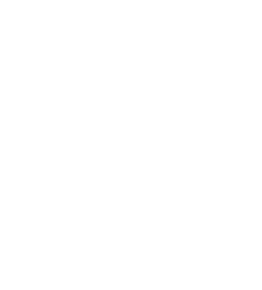 TERRA IMPACT SOCIETY