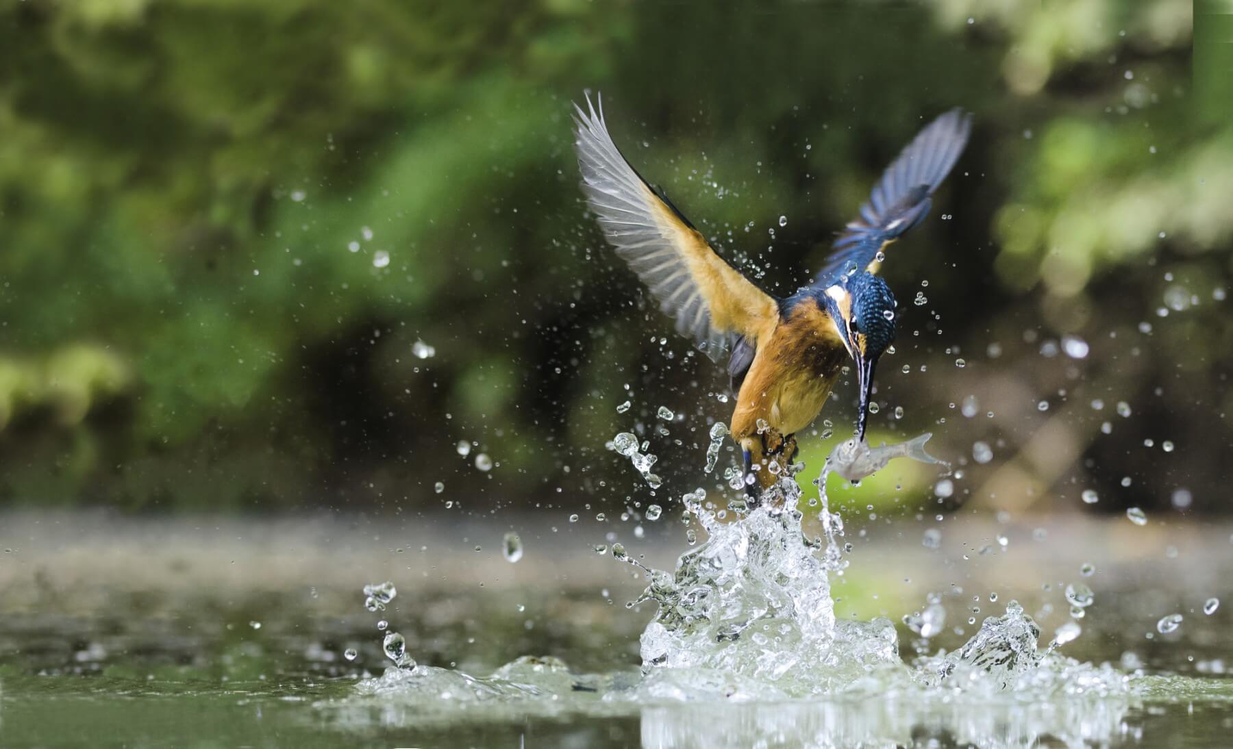 ENJEUX EAU ET BIODIV